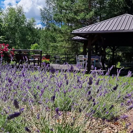 Ubytování v soukromí Kwiaty Polskie